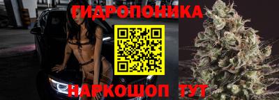каннабис Камышлов
