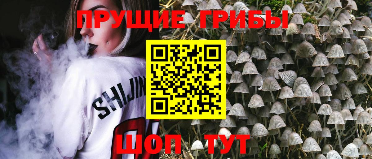 дарнет шоп  Галлюциногенные грибы Psilocybe  Вход с VPN  Псилоцибиновые грибы MAGIC MUSHROOMS  Лесозаводск 